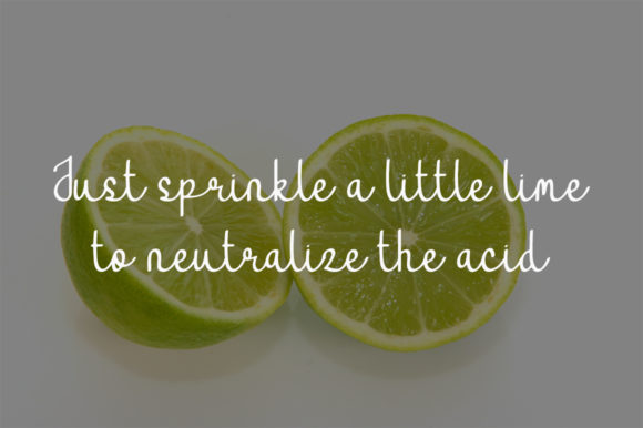 Fresh Lime Font - Preview 3