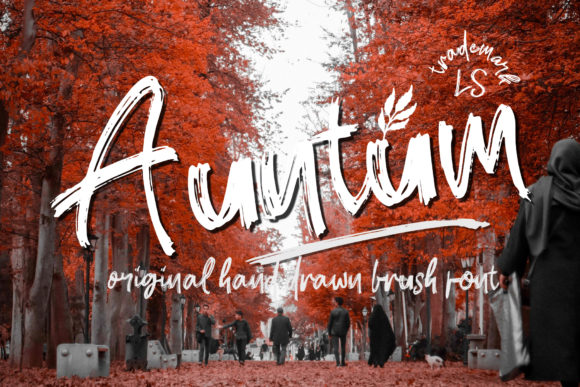 Brookland Font - Preview 3