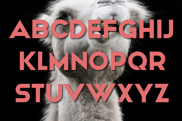 Chewer Font - Preview 1