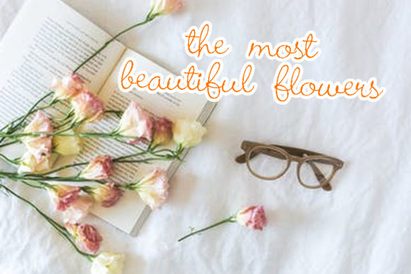 Bellina Font - Preview 2