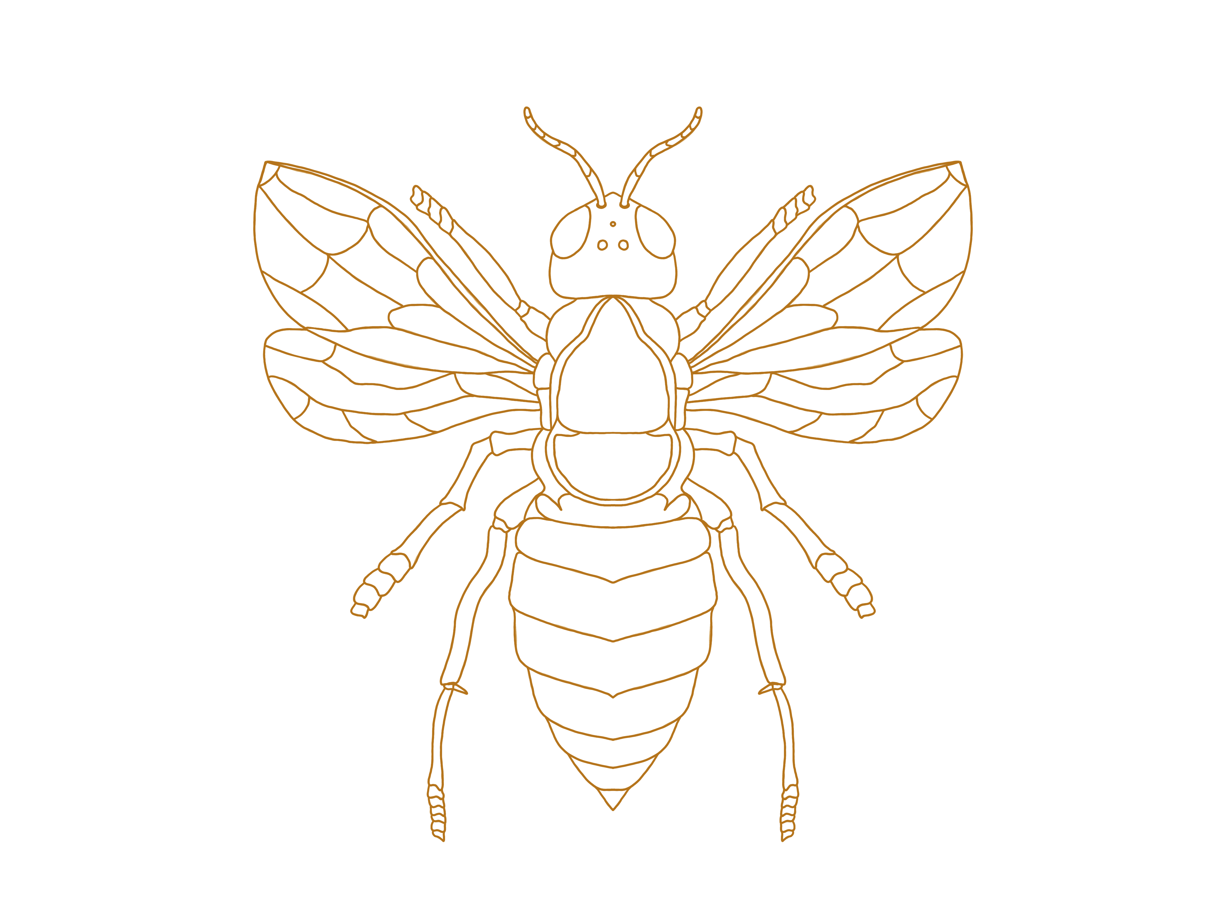 Bee Raphic Bee Graphic by Irmasartsandcrafts · Creative Fabrica