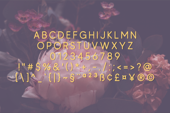 Heltcorp Font PNG with transparent background - Preview 1