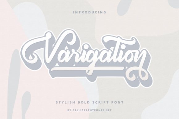 Varigation Script & Handwritten Font By CalligraphyFonts