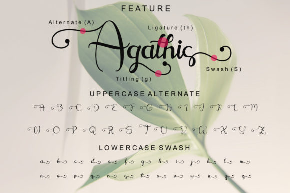 Agathis Font - Preview 5
