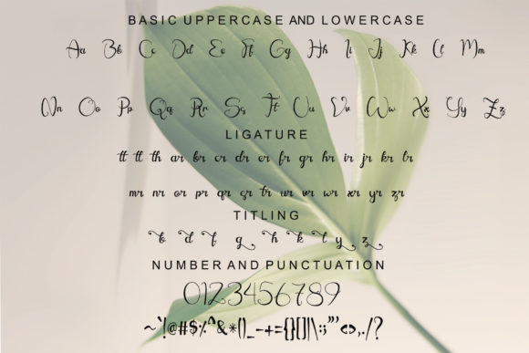 Agathis Font - Preview 6