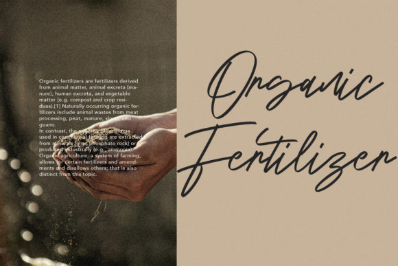 Blondey Rich Font - Preview 2