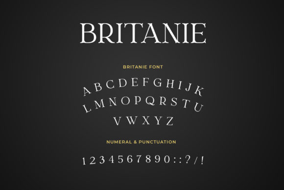 Britanie Font - Preview 3