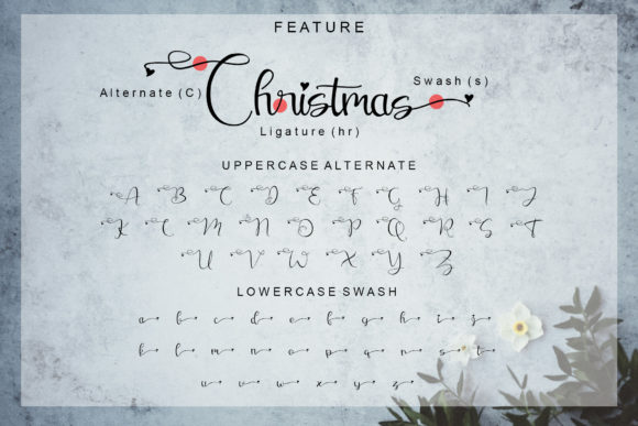 Christmas Winter Font PNG with transparent background - Preview 5