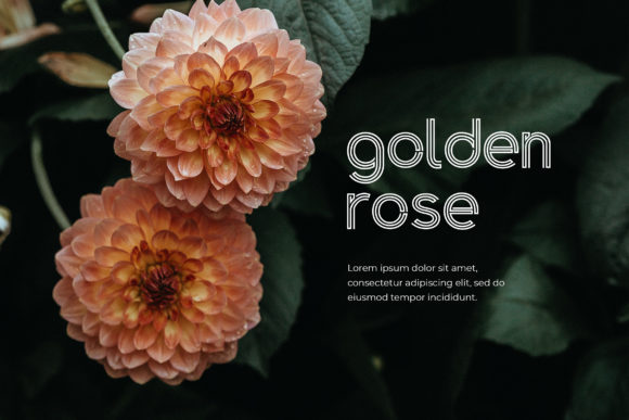 Golden Arrow Font - Preview 2