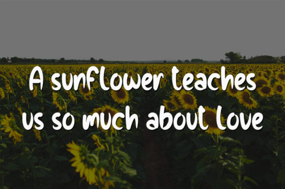 Love Sunflowers Font PNG with transparent background - Preview 1