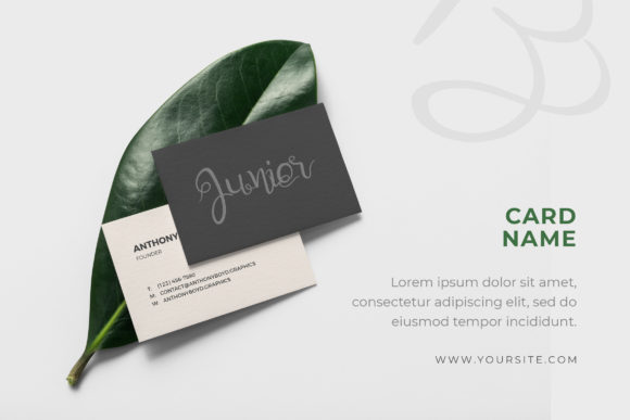 Quick Junior Font PNG with transparent background - Preview 2