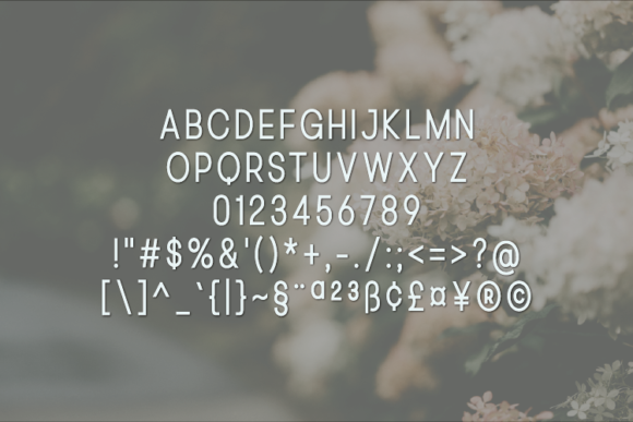 Arthive Font - Preview 1