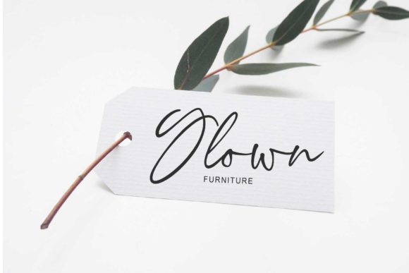Bright Signature Font - Preview 4