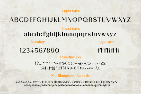 Domestika Font - Preview 2