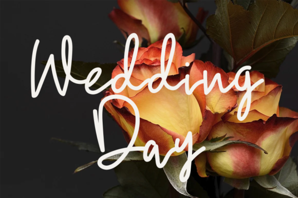 Love Kitchen Font PNG with transparent background - Preview 1
