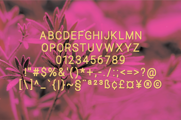 Proftale Font PNG with transparent background - Preview 1