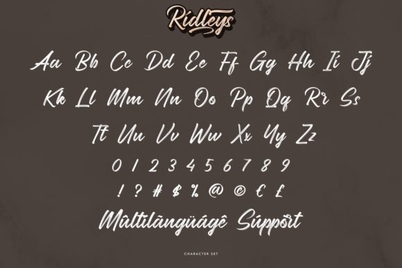 Ridleys Font font preview - 4