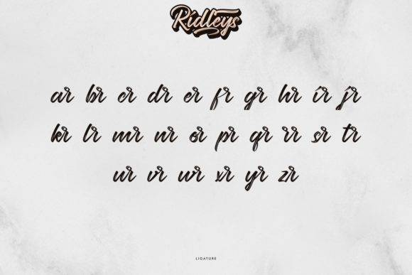 Ridleys Font font preview - 6