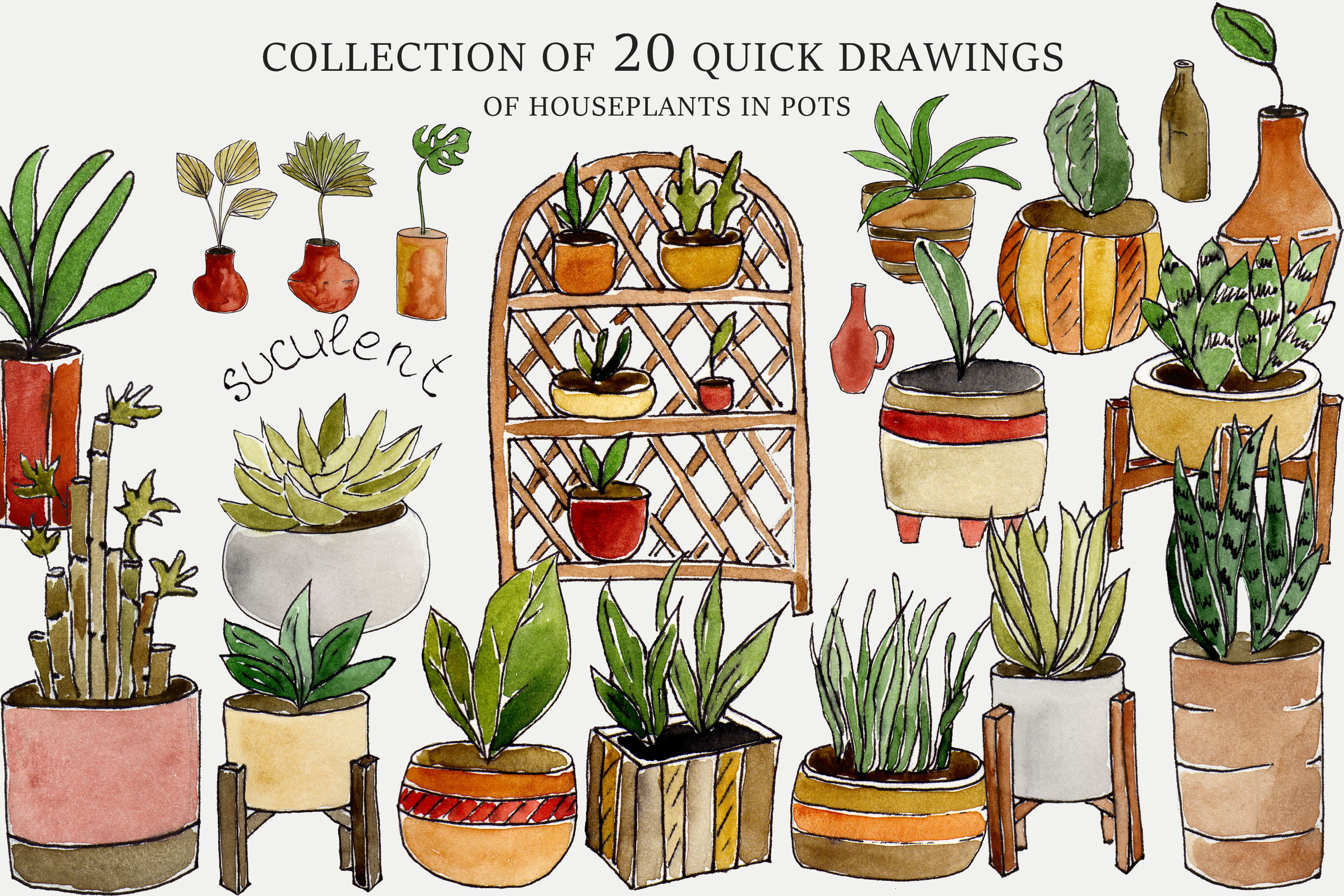 Collection of 20 Drawings House Plants Graphic by Julia Bogdan  Creative  Fabrica