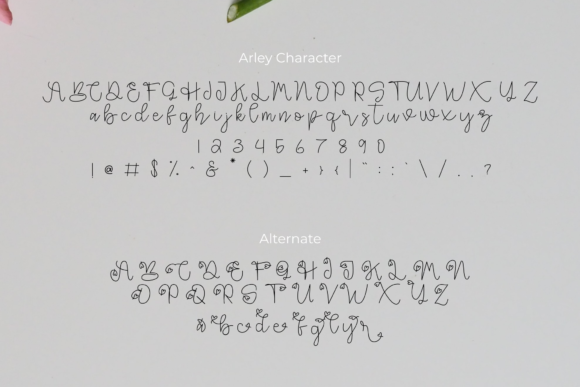 Arley Font - Preview 2