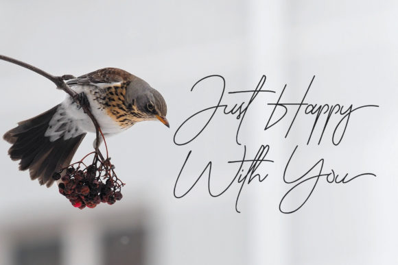 Bendungan Signature Font - Preview 2