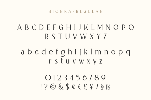 Biorka Font - Preview 6