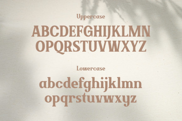 Brickson Font - Preview 1