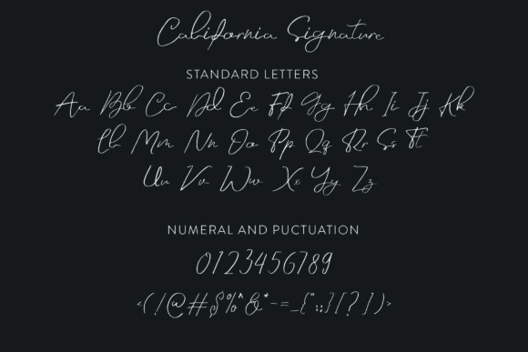 California Signature Font - Preview 2