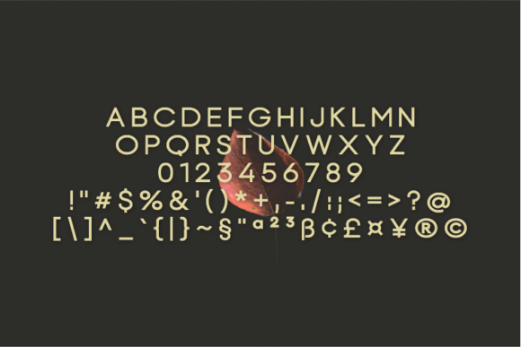 Deepfly Font - Preview 1