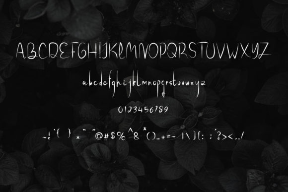 Frigid Font - Preview 2
