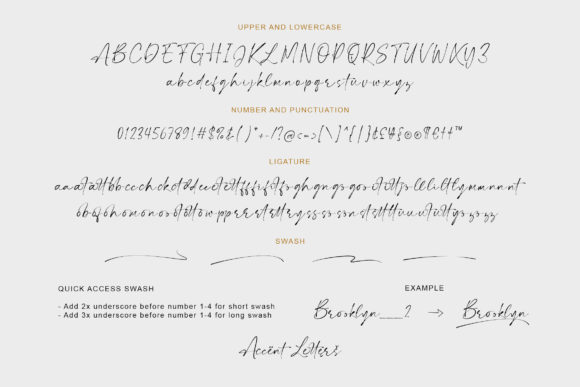 Jason Signature Font PNG with transparent background - Preview 5