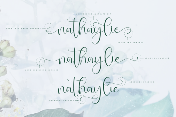 Malvyew Font PNG with transparent background - Preview 2