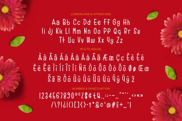 Reds Velvetos Font font preview - 3