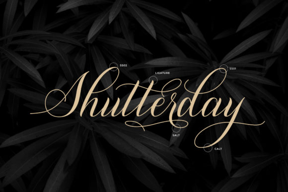 Shutterday Font PNG with transparent background - Preview 6