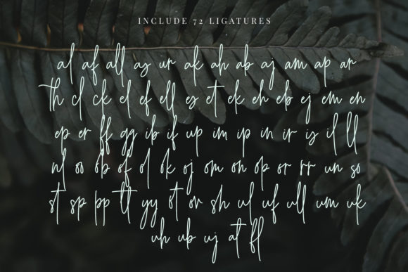Angelica Jealous Font - Preview 5