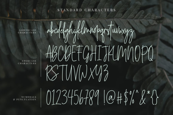 Angelica Jealous Font - Preview 6