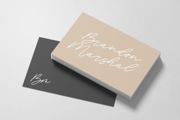 Blackswan Font - Preview 3