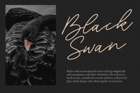 Blackswan Font - Preview 4
