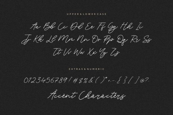 Blackswan Font - Preview 5