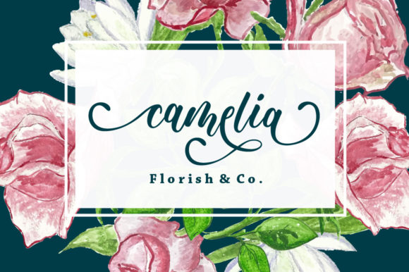 Delicia Font - Preview 1