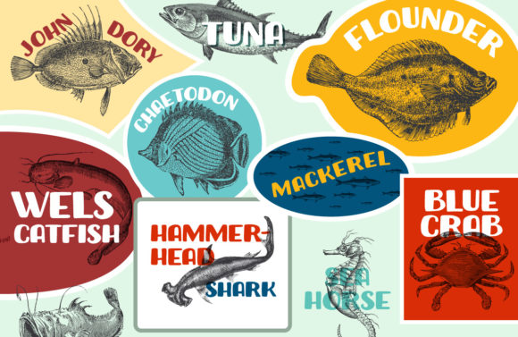 PhileaBold Font PNG with transparent background - Preview 5