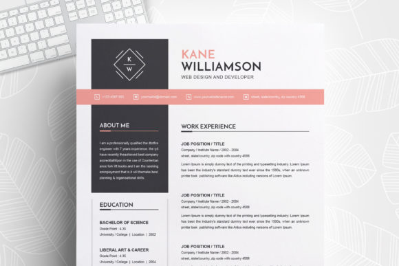 Professional Resume Template | MS Word