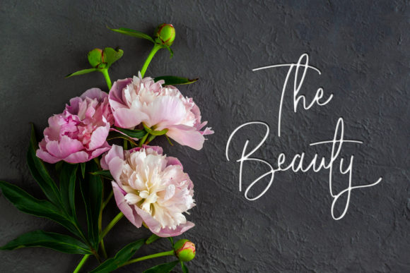 Absolute Nature Font - Preview 2