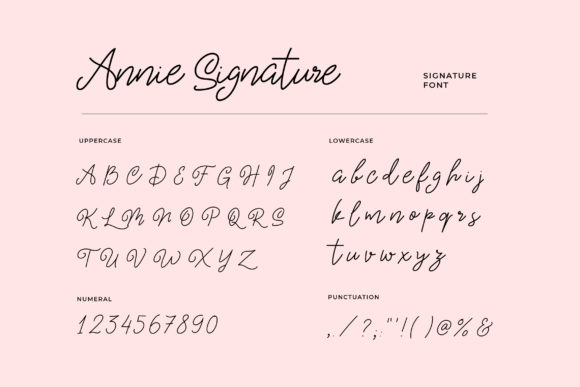 Amanda Vinola Font - Preview 2