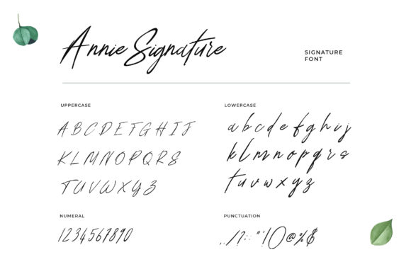 Annie Signature Font - Preview 2