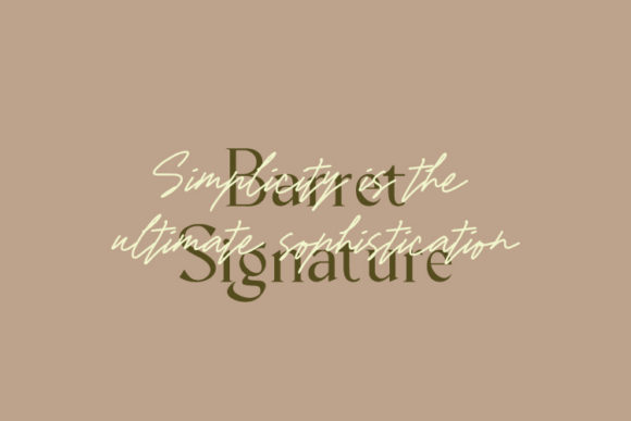 Barret Signature Font - Preview 2