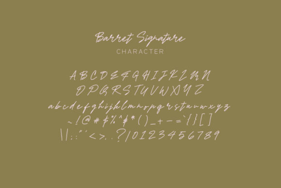 Barret Signature Font - Preview 6