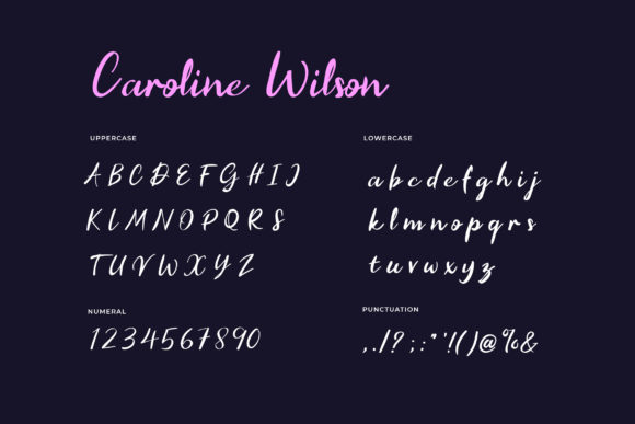 Caroline Wilson Font - Preview 1