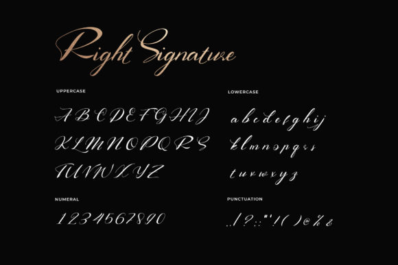 Right Signature Font PNG with transparent background - Preview 1