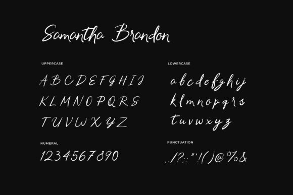 Samantha Brandon Font PNG with transparent background - Preview 1